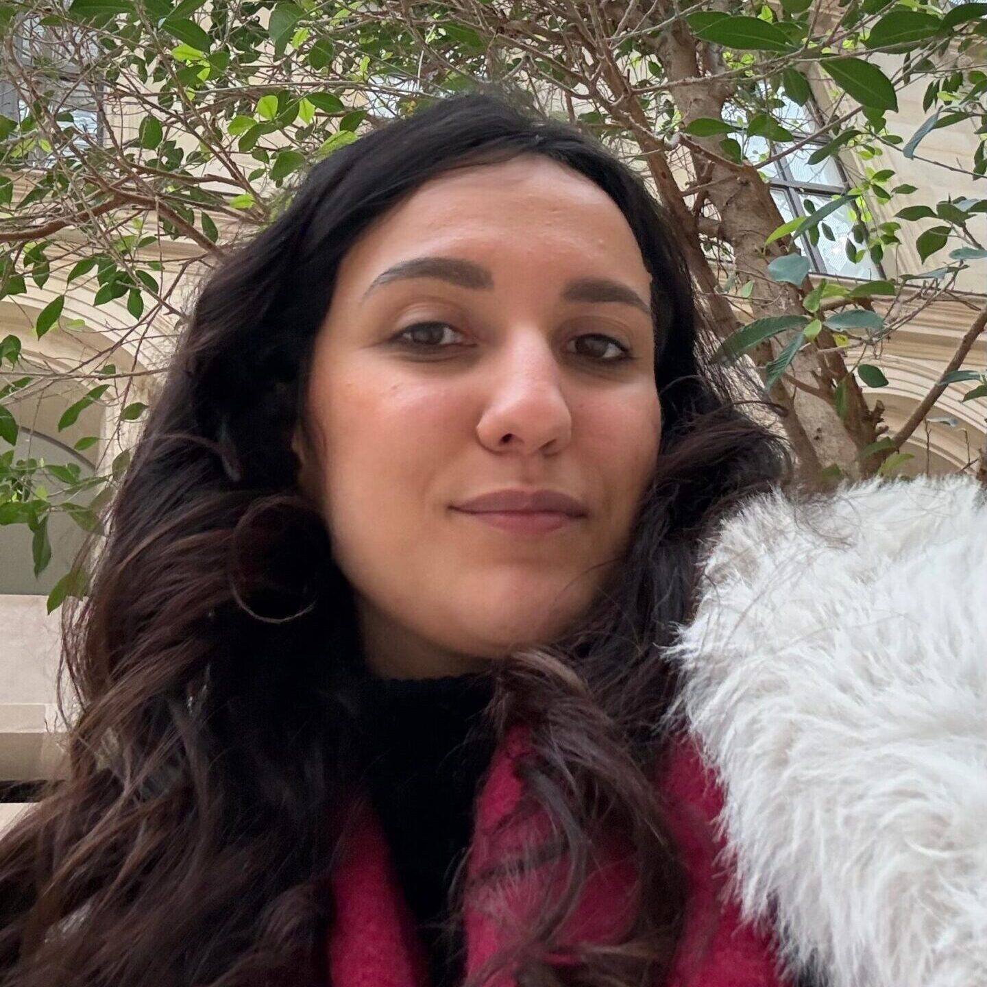 IMG-20260403-WA0002(1)